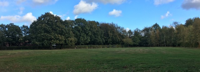 foto gebied CPO onderzoek.jpg