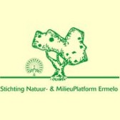 NMP 1